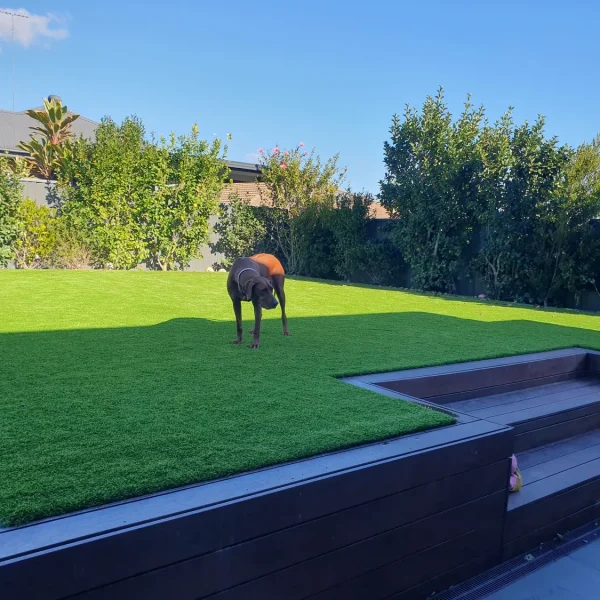OneGrass synthetic turf creates a vibrant, level backyard lawn