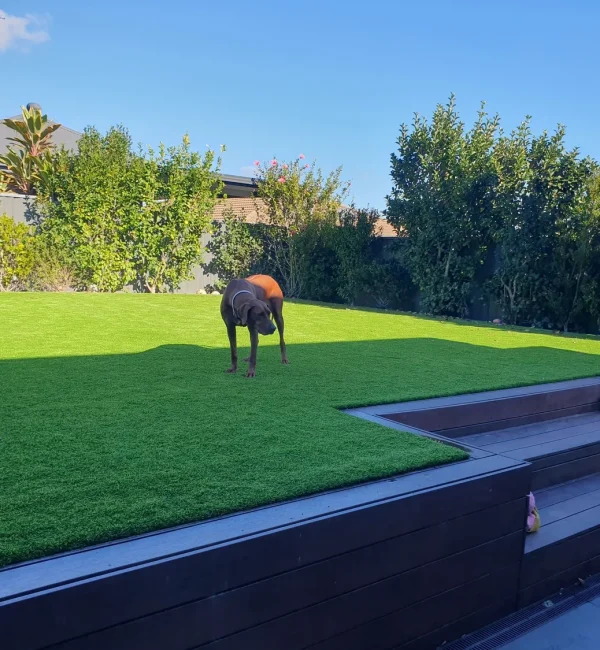 OneGrass synthetic turf creates a vibrant, level backyard lawn